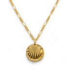 Gold Dipped Clam Shell Coin Necklace